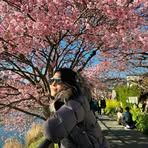 JoJo Lam - Facebook