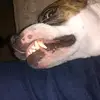 jojo rivera 😜🤣 - @jojo_rivera_19 - TikTok