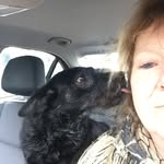 Joke Bos - @jokembos - Instagram