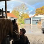 Joke Bos - @jokebosx - Instagram
