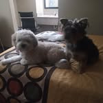 Jolanda Rivera - @jolandarivera2 - Instagram