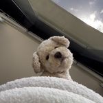 Joleen Lee - @_joleeeennn - Instagram
