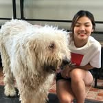 Jolene Lim - @joleneelim - Instagram