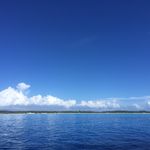 Joleen Watson - @mackabby0803 - Instagram