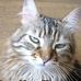 Jolene Armstrong - Facebook