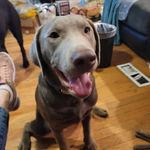 Jolene Corbett Bailey - @jolenebailey75 - Instagram