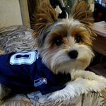 Jolene Moulaison Baker - @jolene.baker2 - Instagram