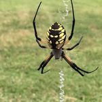 Jolene baughman - @kerrybaughman - Instagram