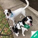 Benson + Jolene - @adventuresofbensonandjolene - Instagram