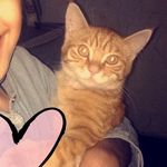 Benson and Jolene - @bensonandjolene16 - Instagram