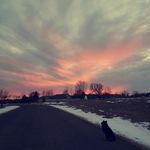 Joleen Brenner - @joleenbrenner - Instagram
