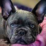 Jolene at Salon Britton - @joleneatsalonbritton - Instagram