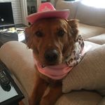 Jolene - @jolene_jones_buckman - Instagram