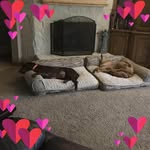 Jolene Burrow - @joleneburrow - Instagram