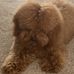 Jolene Clark - Facebook