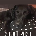 Jolene Clark - @jolene.clark - Instagram