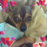 Jolene Clark-cook - @jolene2346 - Instagram