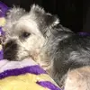 jolenemccombs - @jolenemccombs - TikTok