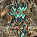 Jolene Deaton - Facebook