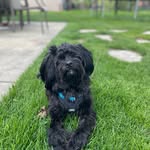 @jolene_goodman76 - Instagram