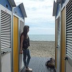 Jolene Guy - @co4mmm6 - Instagram