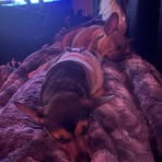 Jolene Harmon - Facebook