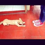 jolenefharmonsi - @jolenefharmonsi - Instagram