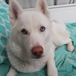 Jolene - @jolene.moon_ - Instagram