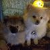 Jolene Payne - Facebook