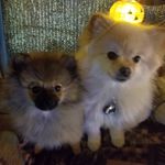 Jolene Payne - @jolene.payne.7 - Instagram