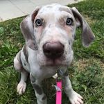Jolene&Porter Wagoner - @joleneporterwagoner - Instagram