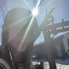 Jolene Powell - @jolenepowell4 - TikTok