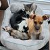 Jolene Reimer - Facebook