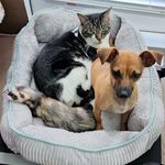 Jolene Reimer - @jolene.reimer85 - Instagram