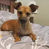 JoleneReimer - @jolenereimer - TikTok