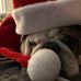 Jolene Wisbey Ringrose - Facebook