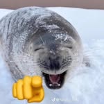 Jolene schultz - @___road_kill___ - Instagram