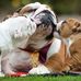 Jolene Stevens - Facebook