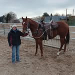 Jolene stevens - @jolenehorse - Instagram