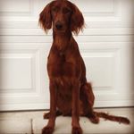 Ms.Jolene Stevens - @ms.jolenestevens - Instagram