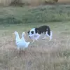 jolenewarner687 - @jolenewarner687 - TikTok