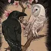 Jolene Waters - @jolene.waters - TikTok
