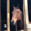 jolenewatson3184 - @jolenewatson3184 - TikTok
