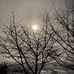 Jolene Webster - Facebook
