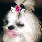 Jolie - @jolie.torres196 - Instagram