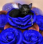 Joline Miller - Facebook