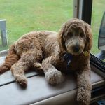 Joline Moore - @moorejoline - Instagram