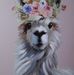 JoLyn Shepard - Facebook
