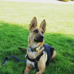 @jolynetheshepard - Instagram
