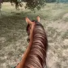 jalyn norton - @its.me.jalyn4 - TikTok